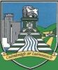 St Patricks GAA Club 1